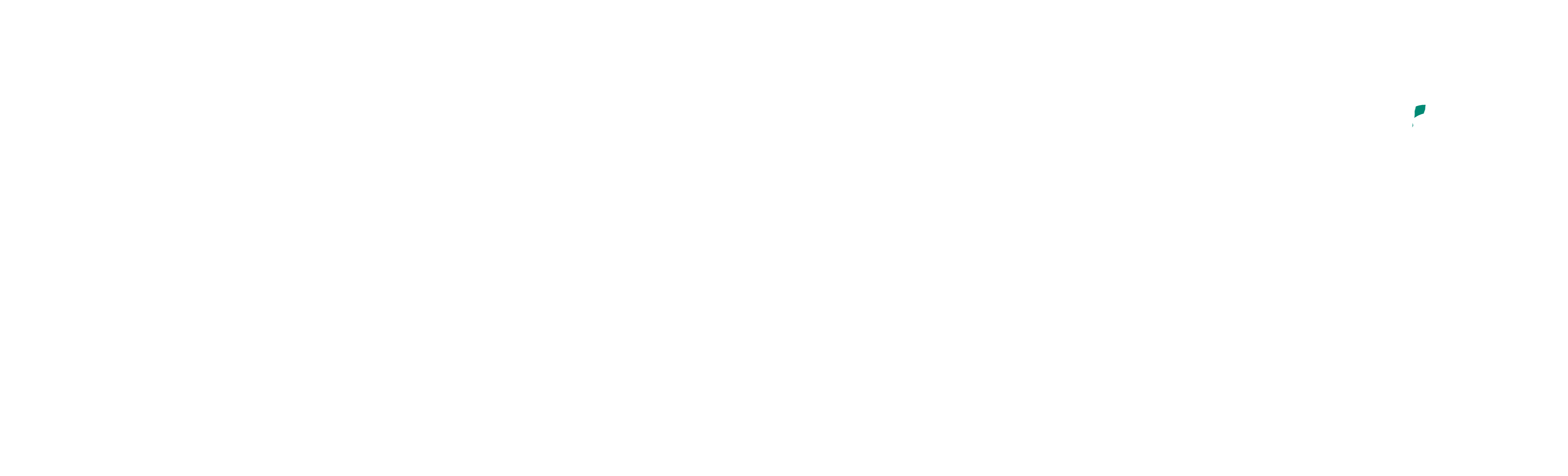 HeboVanDijk Logo